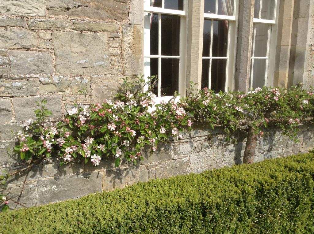 Affittacamere Hundalee House
